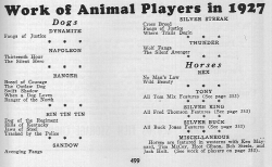 Animal Players